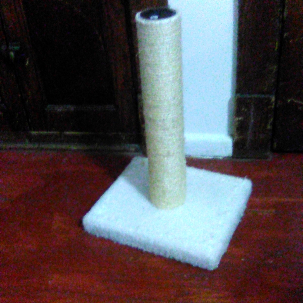 Cat scratch post